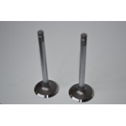  Клапан впускной 3142H041 PERKINS